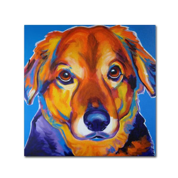 DawgArt 'Riley Square' Canvas Art, 14x14, Trademark Fine Art, Mfr#: ALI0554-C1414GG